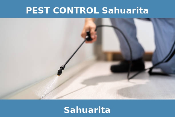 PEST CONTROL Sahuarita